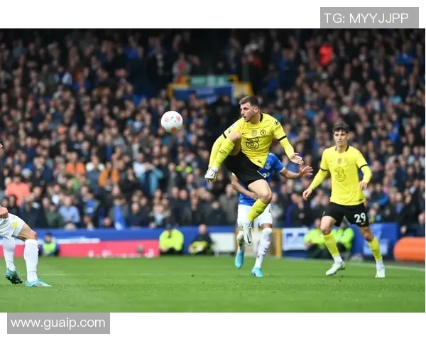 2017年埃弗顿对阵切尔西全景回顾精彩瞬间与战术分析